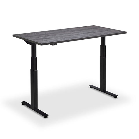 Hybrid Standing Desk