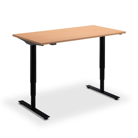 Remo Standing Desk