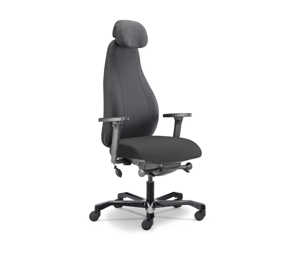 *FINAL STOCK* Ergospine Chair