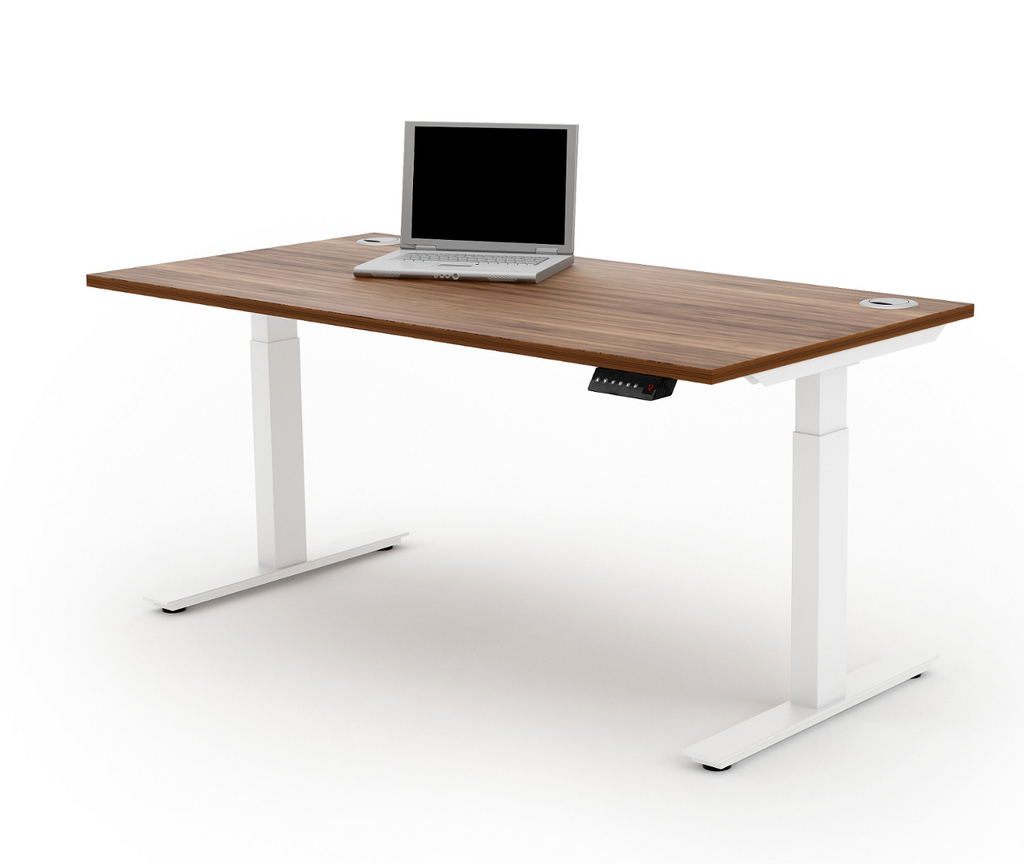Electric Affordable Standing Desk Height Adjustable Ergo Desks