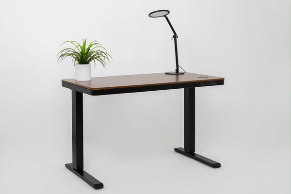 E-Max Electric Height Adjustable Desk Walnut (Wood Top)