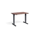 Atlas Mini Standing Desk - Anthracite Edition