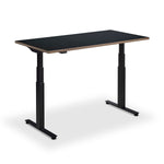 Hybrid Standing Desk