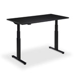 Hybrid Standing Desk