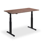 Hybrid Standing Desk