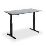 Hybrid Standing Desk