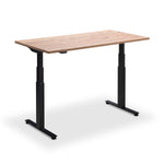 Hybrid Standing Desk