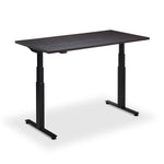 Hybrid Standing Desk