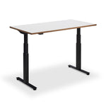 Hybrid Standing Desk