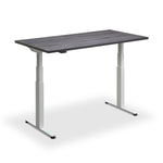 Hybrid Standing Desk