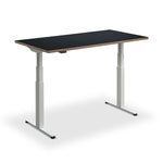 Hybrid Standing Desk