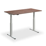 Hybrid Standing Desk