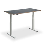 Hybrid Standing Desk