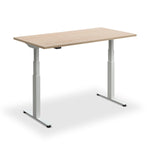 Hybrid Standing Desk