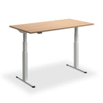 Hybrid Standing Desk