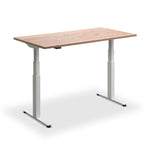 Hybrid Standing Desk