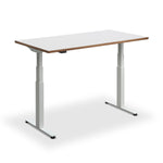 Hybrid Standing Desk