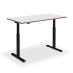 Kompakt Standing Desk