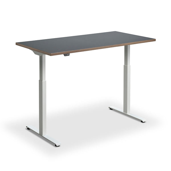 Kompakt Standing Desk
