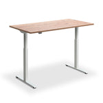 Kompakt Standing Desk