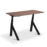 Modal Standing Desk