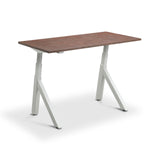 Modal Standing Desk