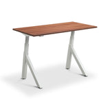 Modal Standing Desk