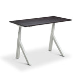 Modal Standing Desk