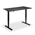 Remo Standing Desk