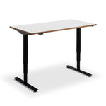 Remo Standing Desk
