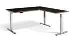 Atlas Standing Chrome Corner Desk