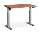 adjustable single-motor standing desk with brown top and grey legs
