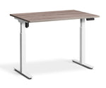 adjustable single-motor standing desk with brown top and white legs