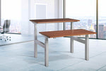 Duo Standing Desk