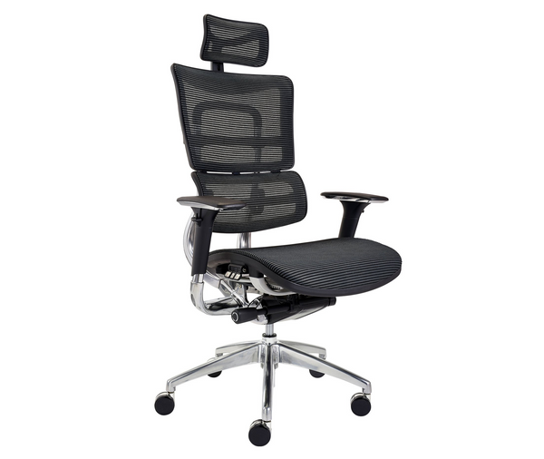 Ergo mesh chair review deals