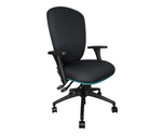 Black ergonomic curvo memory foam office chair.